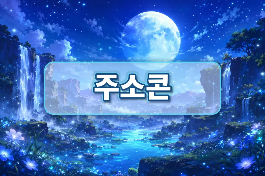 주소콘 사이트모음 분류 이미지